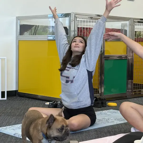 Puppy yoga at K9 Rox Club